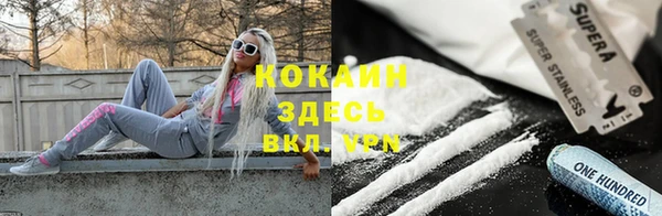 PSILOCYBIN Армянск