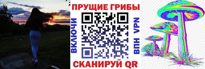 дарк нет состав  Невельск  Галлюциногенные грибы GOLDEN TEACHER 